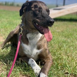 Meet your Posher, Sandra